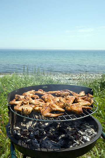 beach barbecue grill